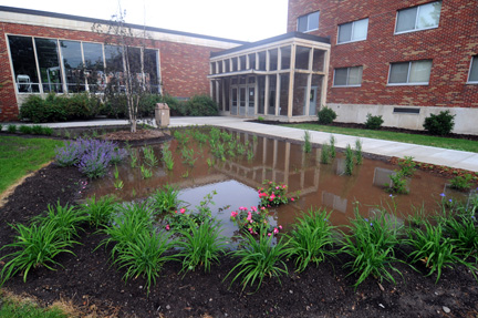 Water garden
